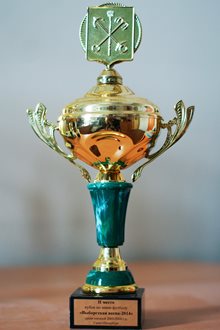 II место Кубок по мини-футболу - Выборгская весна-2014